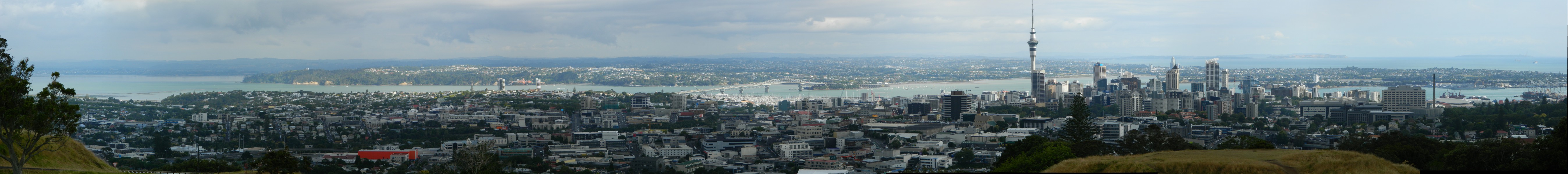 Blick über Auckland vom Mount Eden