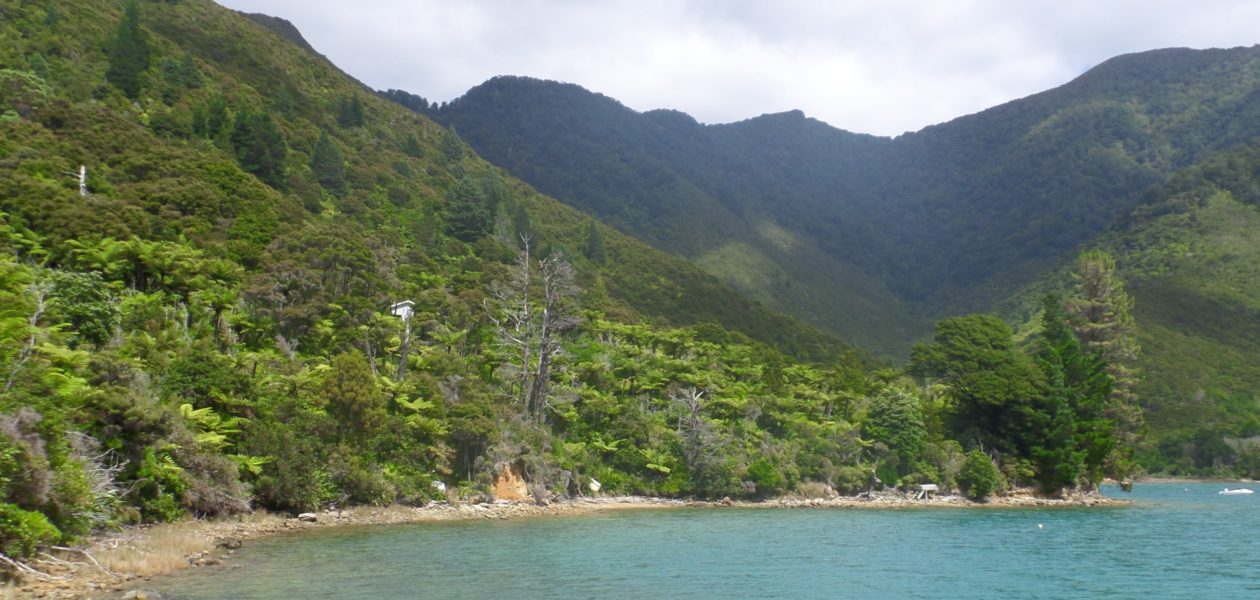 Marlborough Sounds