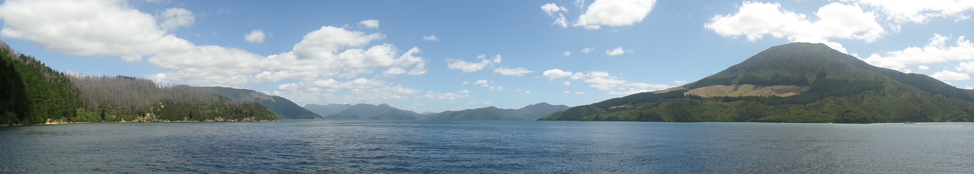 Pelorus Sound